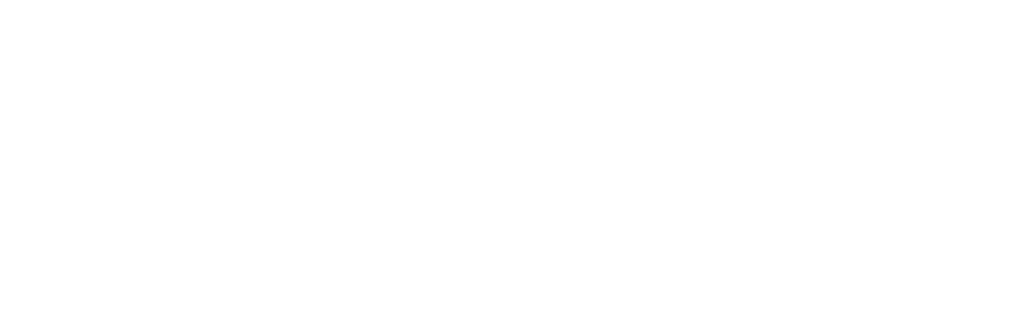 FastEX